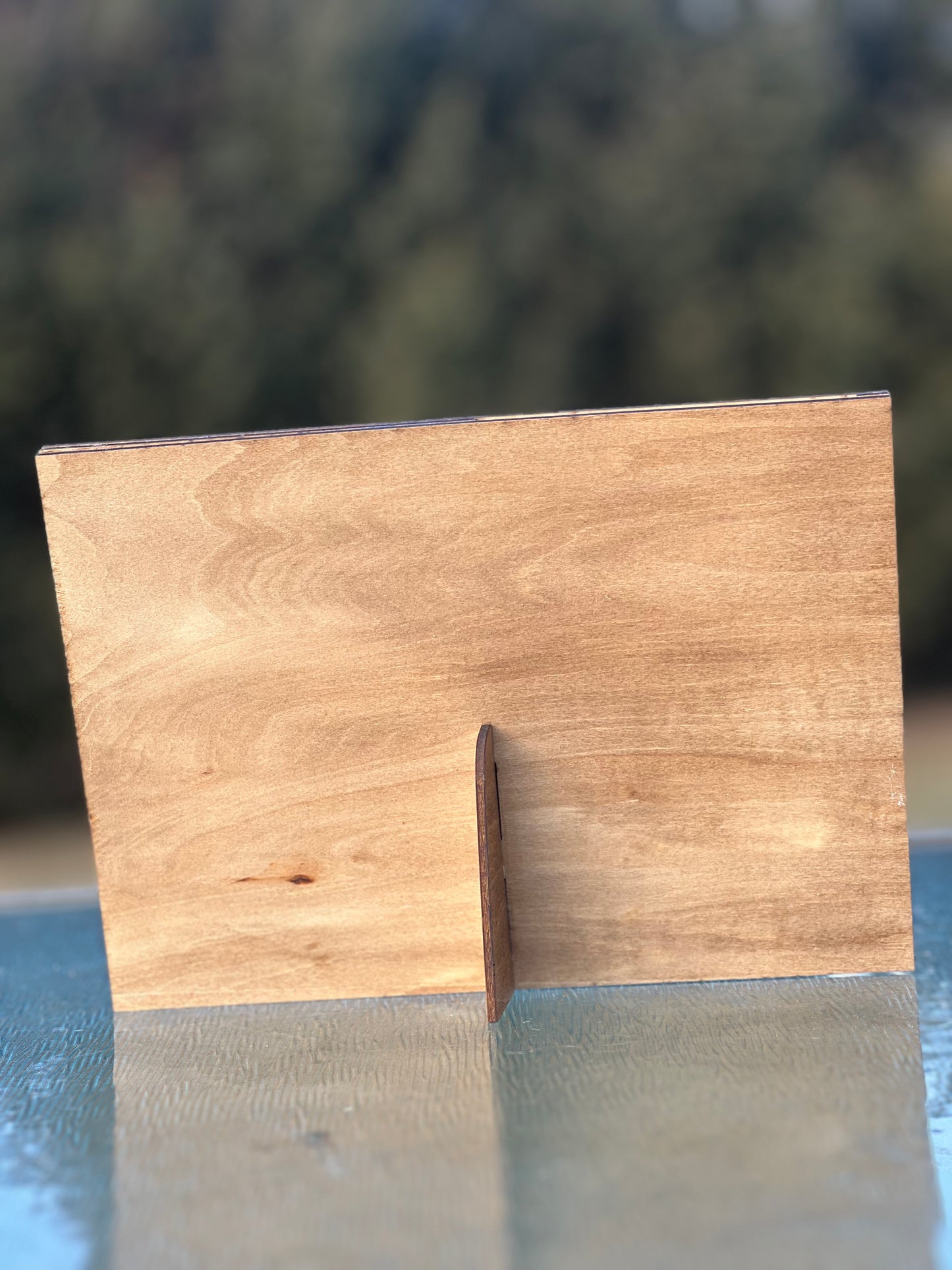 I Love the Sh*t Out of You – Engraved Rustic 4x6 Wood Picture Frame