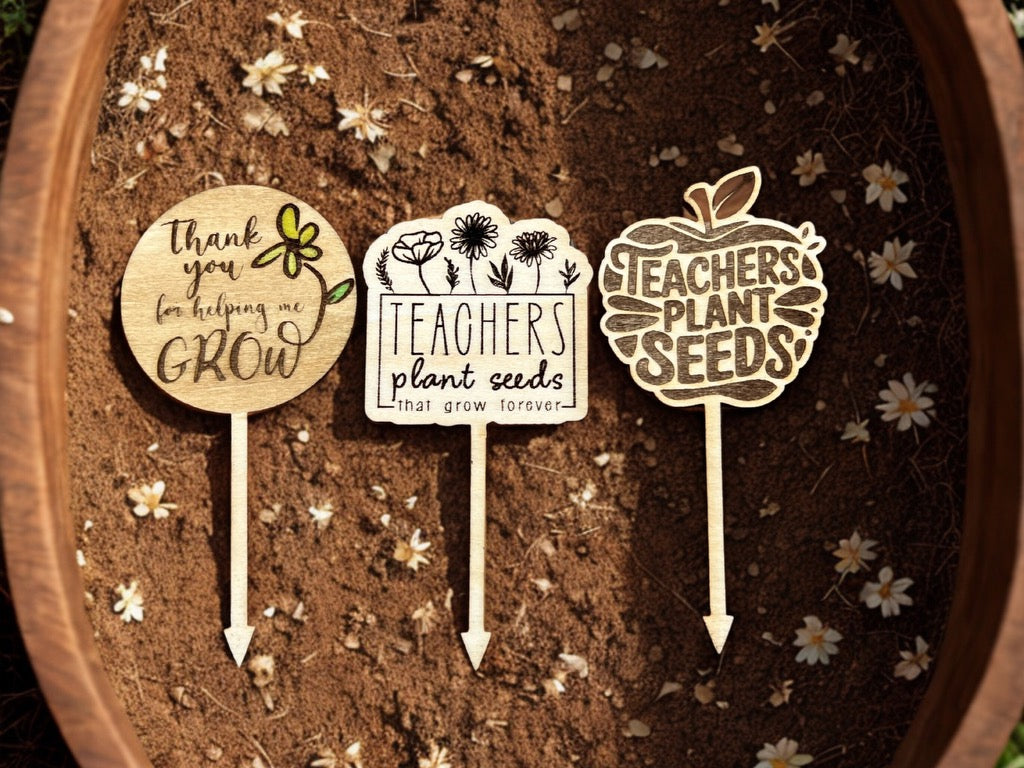 Succulent Picks
