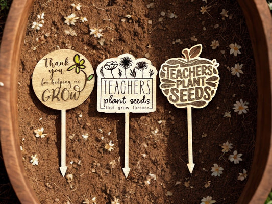 Succulent Picks