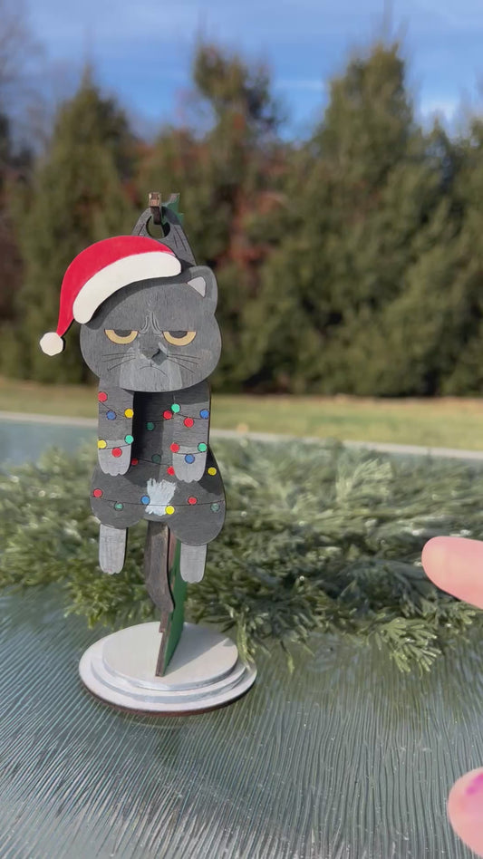 Swinging Grumpy Cat